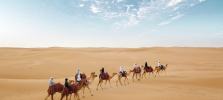 camel-desert.jpg
