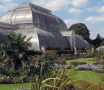 Palm House